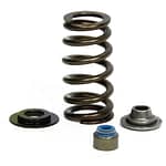 Valve Spring Kits - Ford 5.0L Coyote Engine - DISCONTINUED
