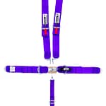 5-Pt Harness Small Latch Purple Bolt In Pull Down