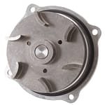 Water Pump Insert for 8896
