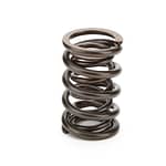 1.460 OD Valve Spring Discontinued 04/28/21 VD - DISCONTINUED