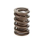 1.550 OD Valve Spring Discontinued 04/28/21 VD - DISCONTINUED
