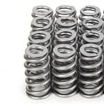 Beehive RPM Series Valve Springs Ford 5.0L Coyote