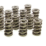 1.575 Dual Valve Springs - (16) - DISCONTINUED
