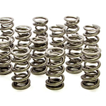 1.574 Dual Valve Springs - (16) - DISCONTINUED