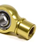 Rodend ACF Shock Gold
