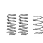 15-   Mustang Lowering Coil Springs - DISCONTINUED